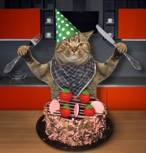 Создать мем: котик ест торт, котик кушает тортик, кот поедает торт