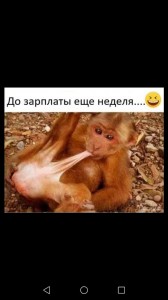 Create meme: fun, monkey, memes