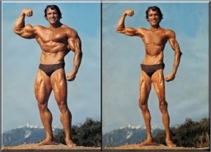 Create meme: Arnold Schwarzenegger young, Schwarzenegger in his youth, Arnold Schwarzenegger