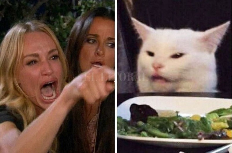 Создать мем: мемы, женщина кошка мем, девушки и кот мем