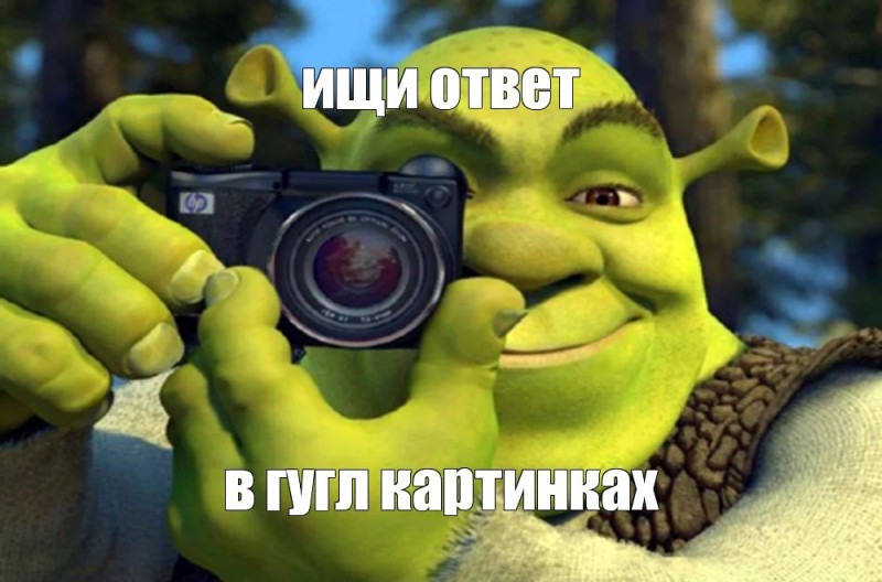 Create meme: Shrek meme template, Shrek with camera meme, meme Shrek 