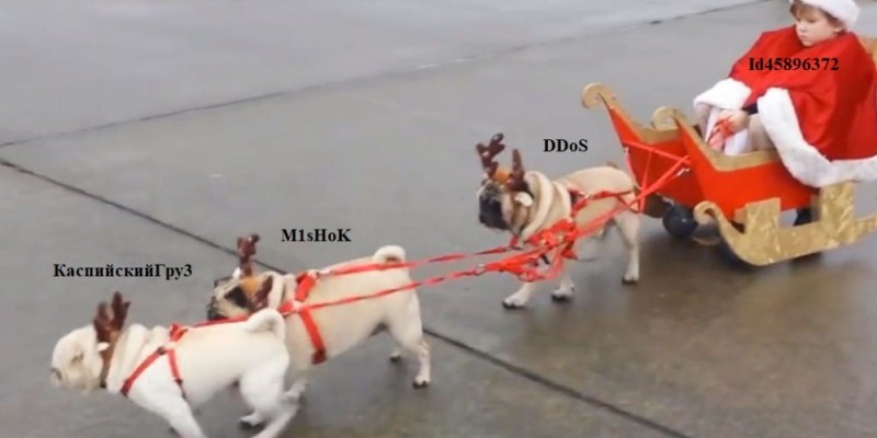 Создать мем: dog christmas, собачья, французский бульдог на скейтборде