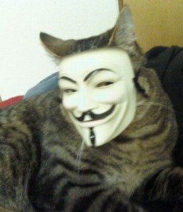 Создать мем: маска анонима, анонимус, кот анонимус мем