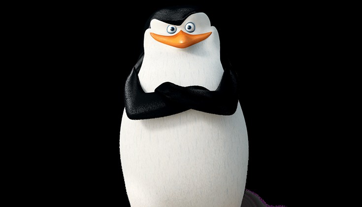 Создать мем: пингвин из мадагаскара, маленький шкипер пингвины из мадагаскара, пингвины мадагаскара шкипер