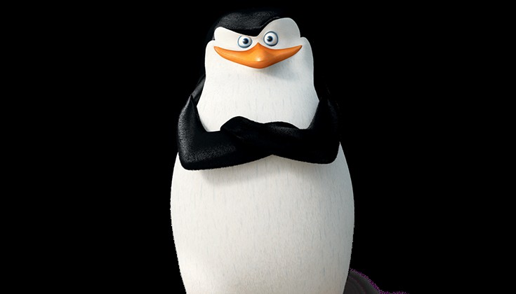 Create meme: penguins of madagascar skipper 2014, skipper the penguins of Madagascar, the penguins of Madagascar skipper