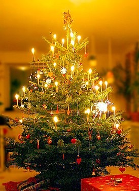 Создать мем: красивая елка, красивая новогодняя елка, ёлка на новый год