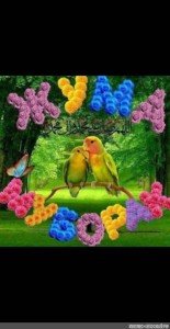 Создать мем: разноцветные птицы, птицы попугаи, красноспинный певчий попугай