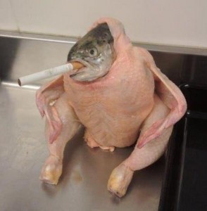 Create meme: drunk chicken, fish chicken, chicken with a cigarette