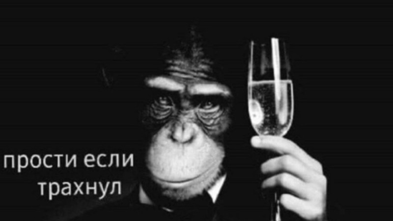 Создать мем: обезьянья оспа прикол, шимпанзе с бокалом, обезьяна с бокалом мем
