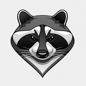 Create meme: raccoon, frontend raccoon, raccoon logo