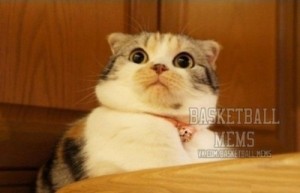 Создать мем: Удивленный кот Basketball Mems