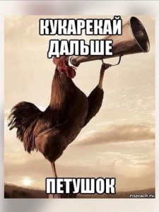 Create meme: flashy cock, morning, meme cock