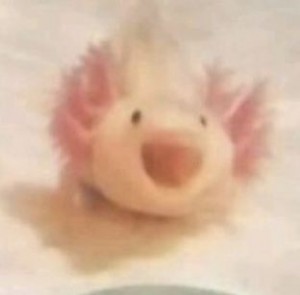 Create meme: pink pig, the axolotl