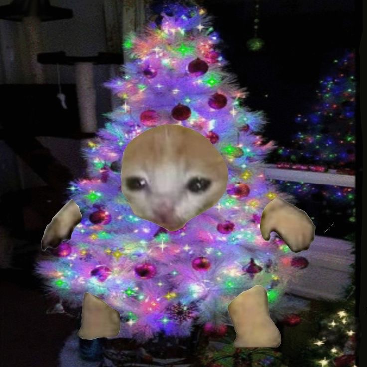 Создать мем: кот новогодний, котики смешные, christmas tree