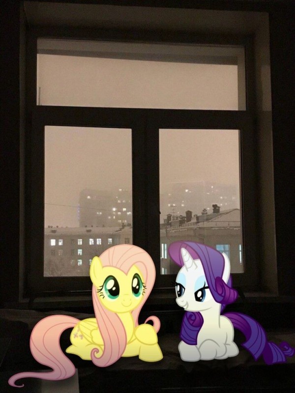 Create meme: friendship is a miracle, fluttershy and pinkie pie, my little pony fluttershy 