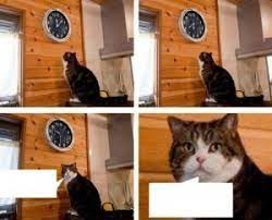 Create meme: the cat looks at his watch meme, meme the cat and the clock time, meme the cat and watches
