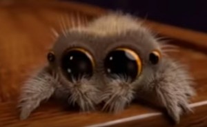 Создать мем: милый паучок, милый паук лукас, паучок лукас обои