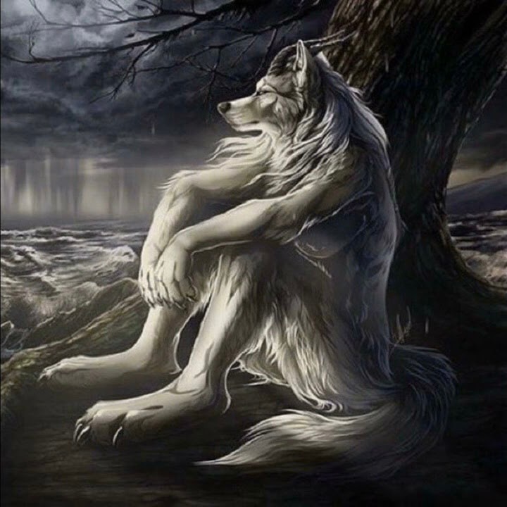 Create meme: grey wolf , werewolf wolf werewolf, werewolf 