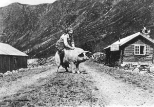 Create meme: meanwhile in norway, milkmaid''s day off: the story behind the Norways all-time best-selling postcard., rider of pigs in winter