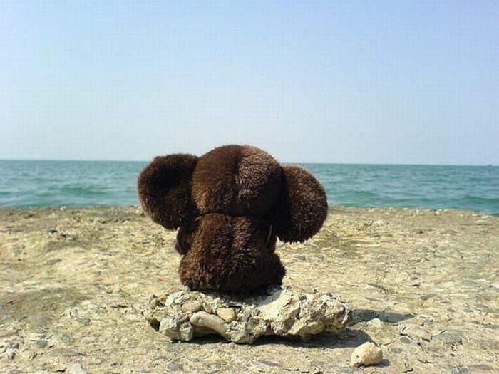 Create meme: cheburashka is looking for friends, cheburashka, cheburashka by the sea