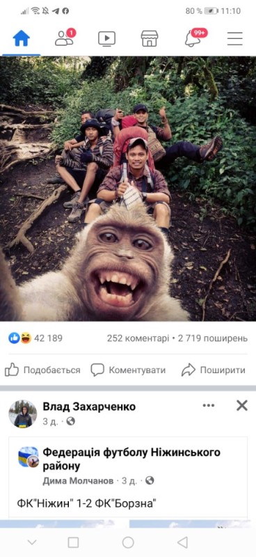 Создать мем: селфи 3 обезьяны, смешные селфи животных, селфи обезьяны мем