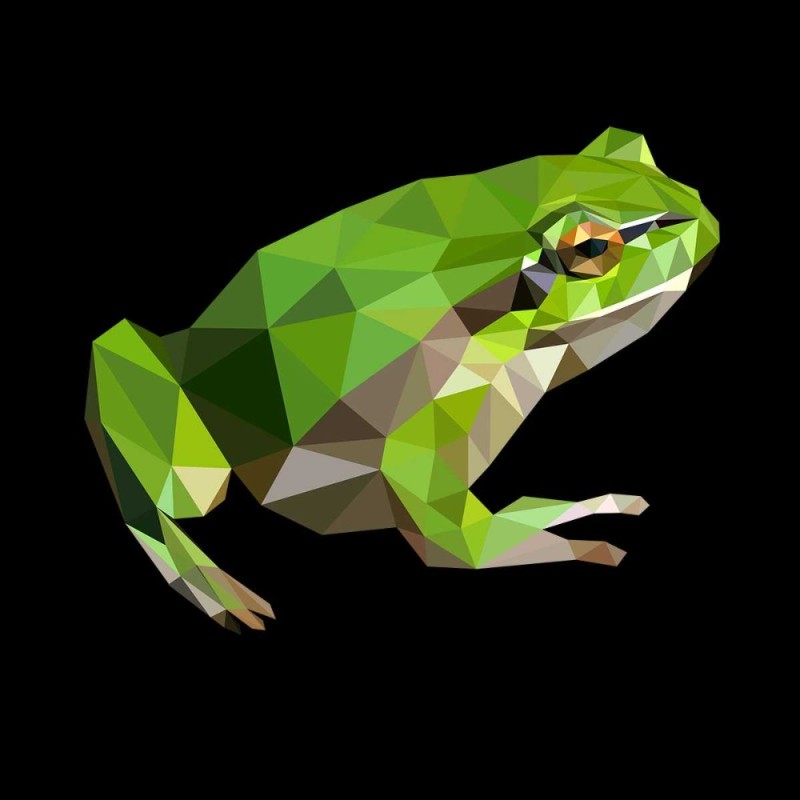 Создать мем: лягушка геометрическими фигурами, рисунок лягушки, полигональный хамелеон