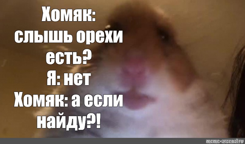 Плачущий хомяк мем