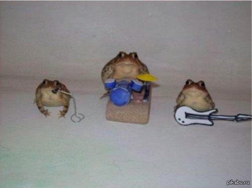 Create meme: frogs with tools, rock band of frogs, toad frog