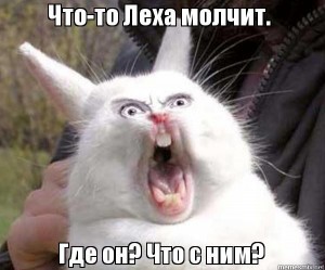 Создать мем: кричащий кролик мем, кролик кричащий аааааа, орущий кот кролик