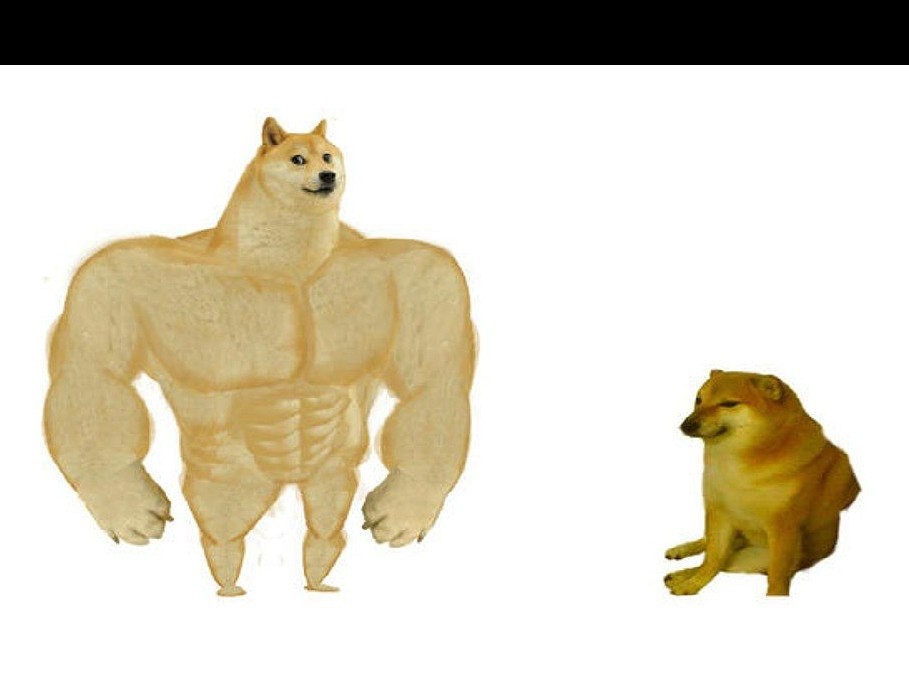 Create meme: the pumped-up dog from memes, shiba inu jock, meme dogs jock