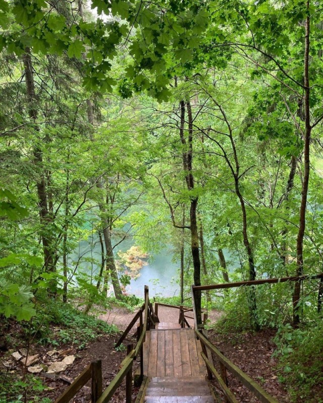 Create meme: nature , Lopukhinka ecotrope radon lakes, nature forest 