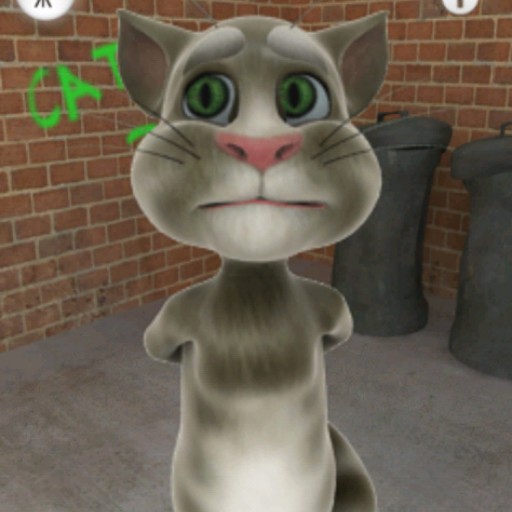 Создать мем: говорящий том игра, игра talking tom cat (2010), talking tom cat