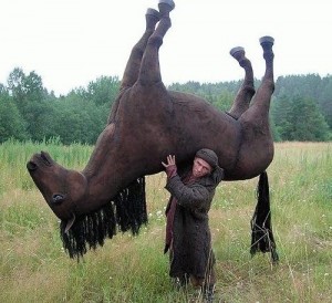 Create meme: in soviet russia, the tired horse, meanwhile in russia