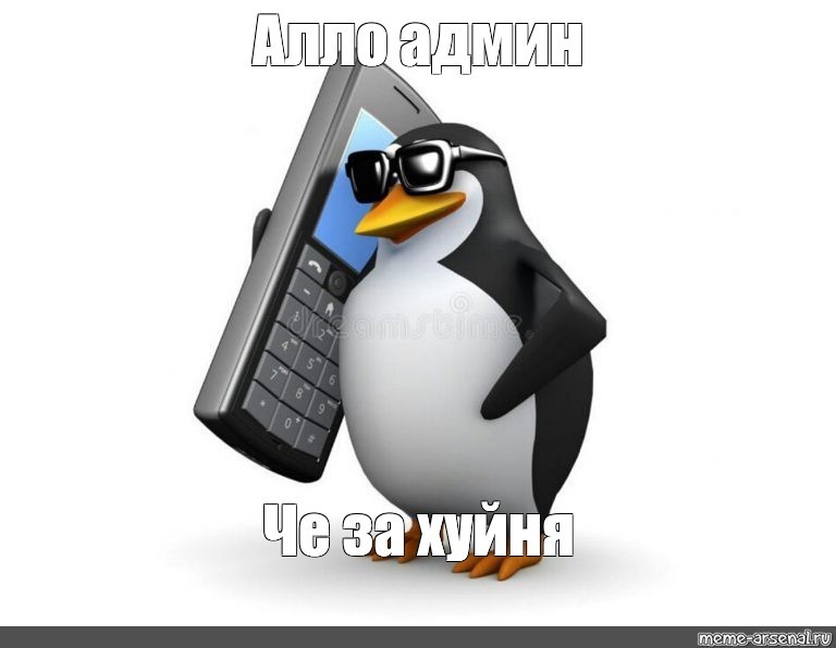 Create meme: the penguin bows meme, the penguin with the phone, meme penguin