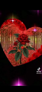 Create meme: flowers, darkness, beautiful flowers