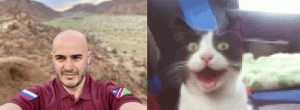 Create meme: cat, cat, cat