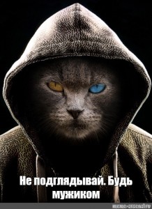 Create meme: people, Tomcat, cats are cool