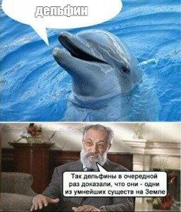 Создать мем: в очередной раз дельфины доказали, мем дельфины в очередной раз доказали, так дельфины в очередной раз