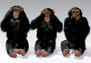 Create meme: afraid, chimpanzees, 3 maymun