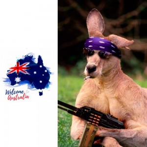 Create meme: kangaroo meme, funny kangaroo