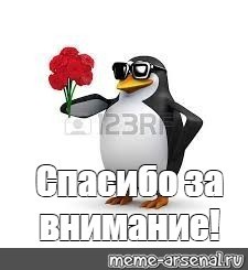 Создать мем: пингвин аня, мем с пингвином пососемся, пингвин дарит цветы мем