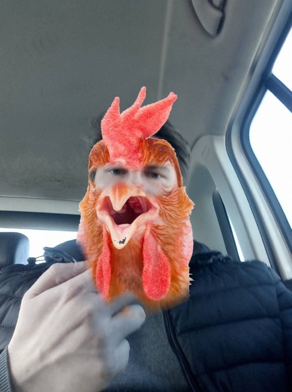 Create meme: feet , surprised chicken, chicken meme 