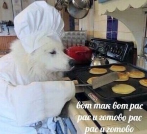 Создать мем: мемы, собака готовит мем, собака повар мем