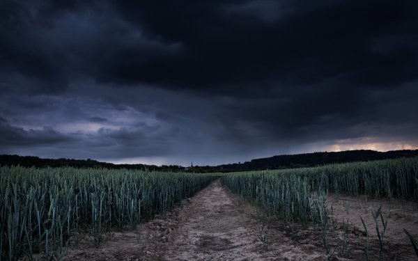 Create meme: The gloomy field, dark field, dark background nature