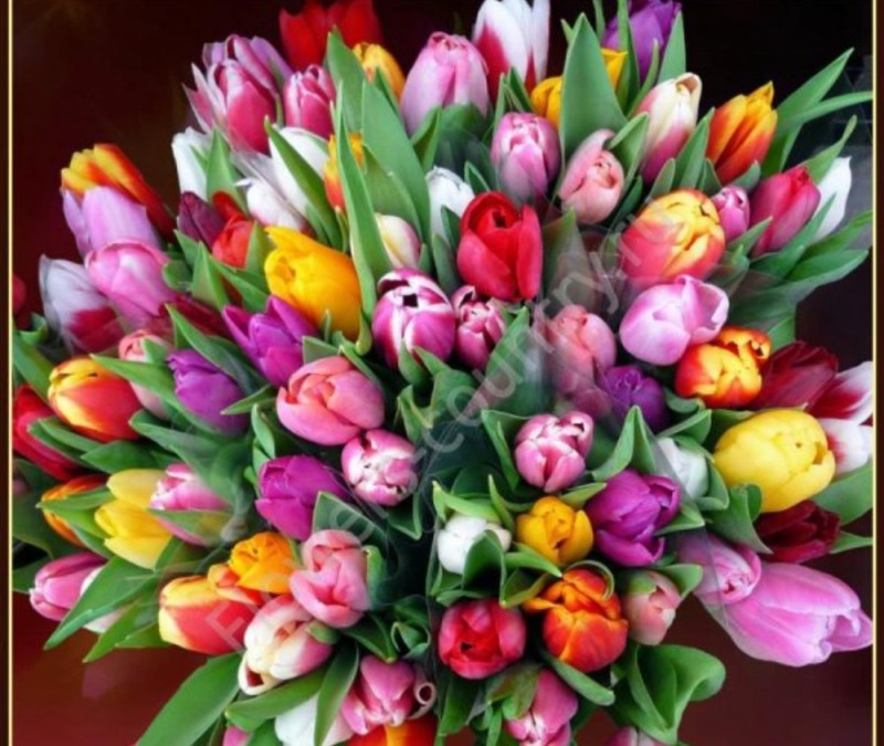 Create meme: bouquet of colorful tulips, a beautiful bouquet of tulips, bouquet of tulips