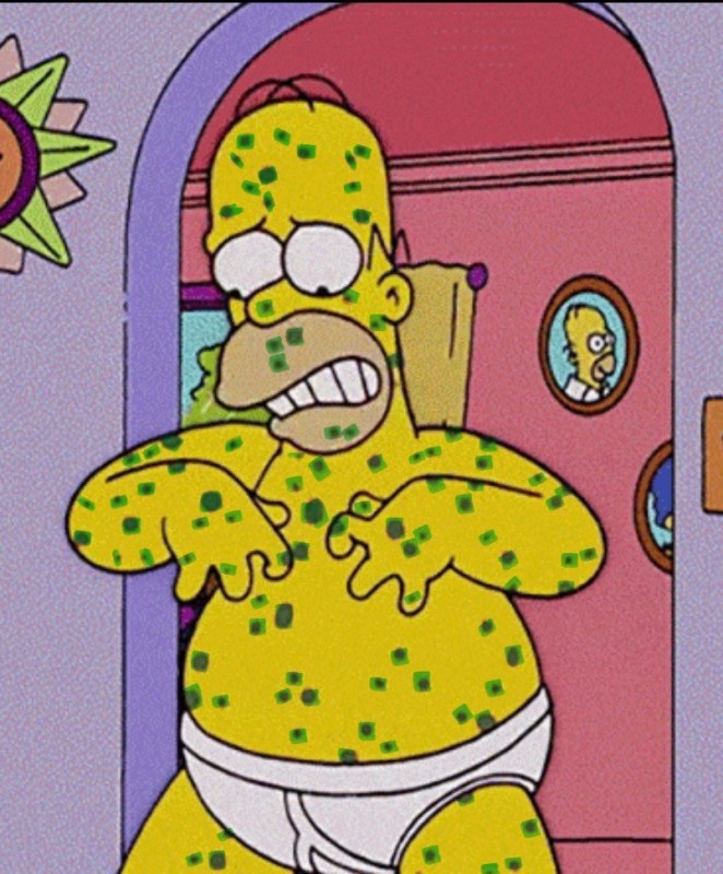 Create meme: Lisa Simpson, The Simpsons Season 10, Homer 