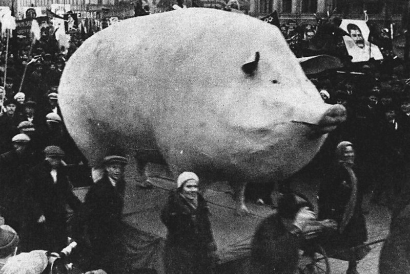 Create meme: pig , a huge pig, a giant pig