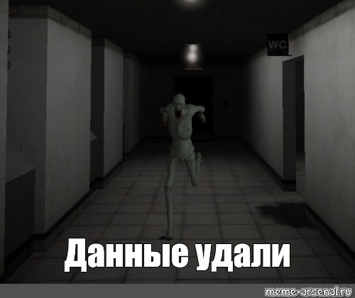 Удали фотографию. Данные удалены SCP. Данные удали.