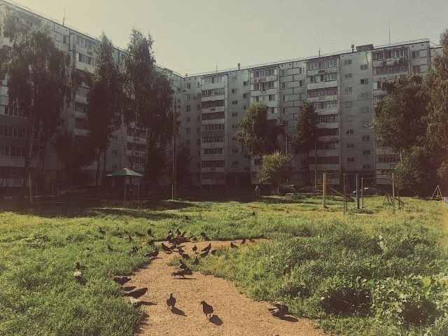 Create meme: the building , golyanovo 1990's, the landscape is gloomy