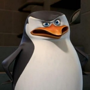 Создать мем: пингвин, Пингвины из Мадагаскара, шкипер не пингвин
